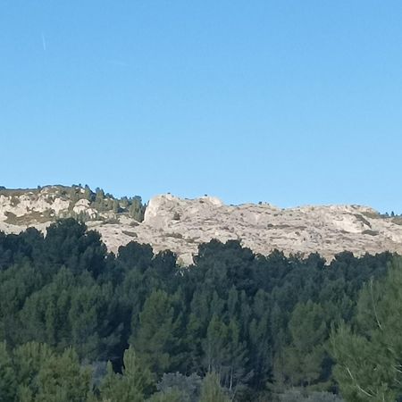 Chambre D'Hote Au Coeur Des Alpilles Mouries Zewnętrze zdjęcie
