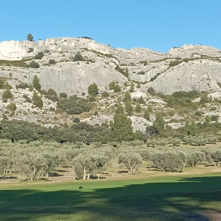 Chambre D'Hote Au Coeur Des Alpilles Mouries Zewnętrze zdjęcie