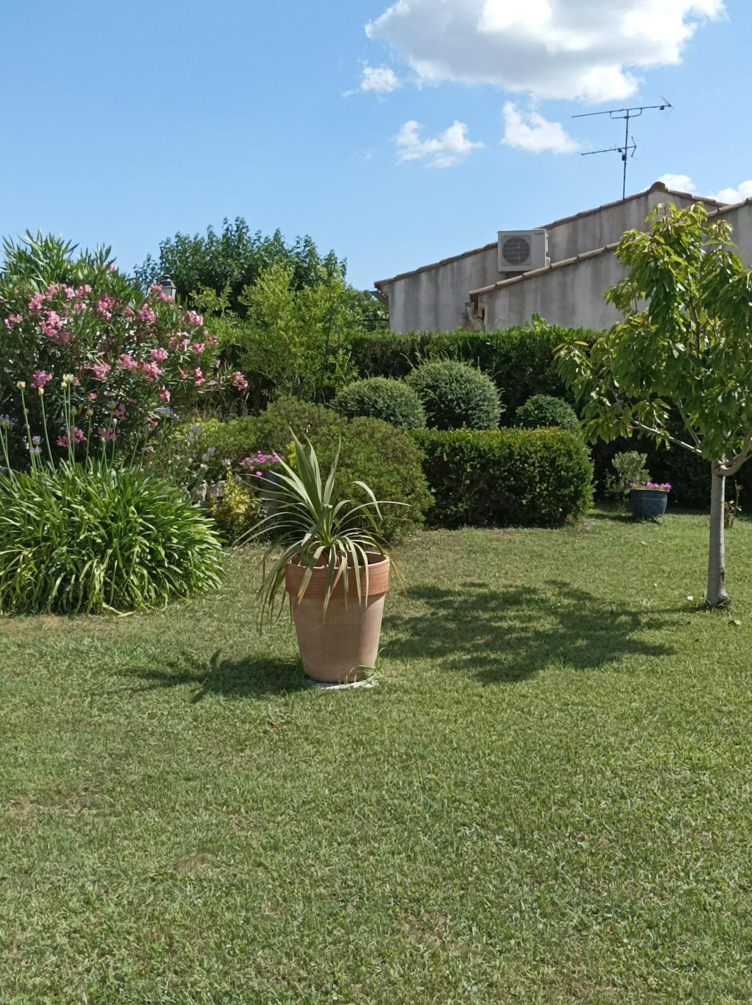 Chambre D'Hote Au Coeur Des Alpilles Mouries Zewnętrze zdjęcie