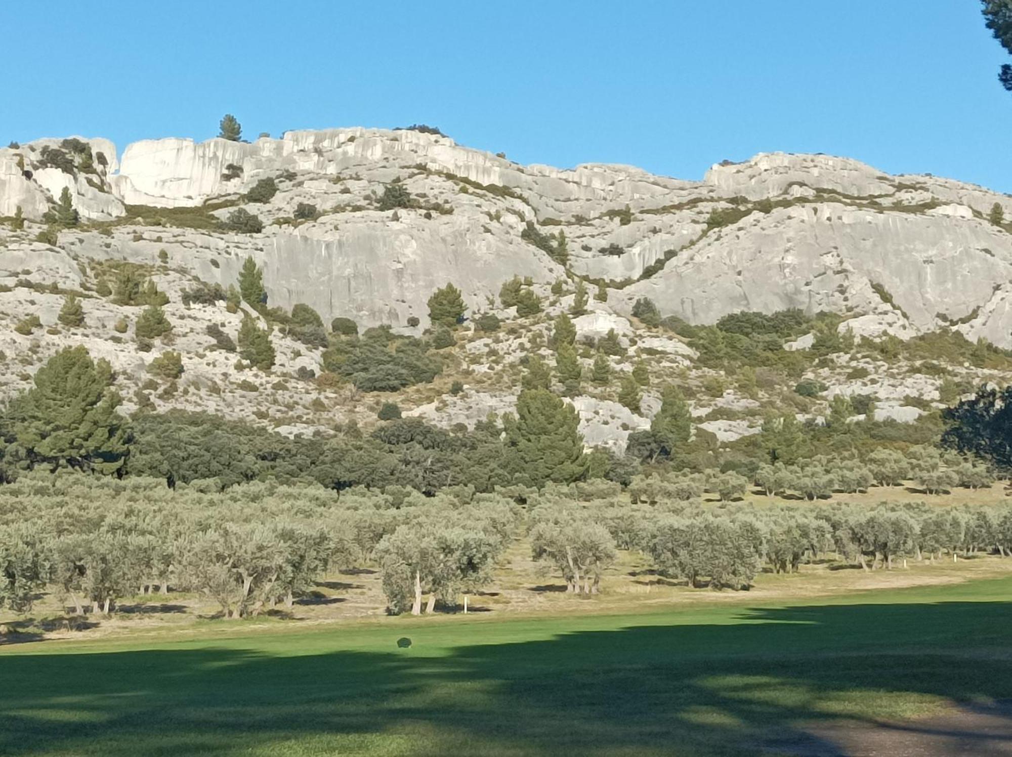 Chambre D'Hote Au Coeur Des Alpilles Mouries Zewnętrze zdjęcie